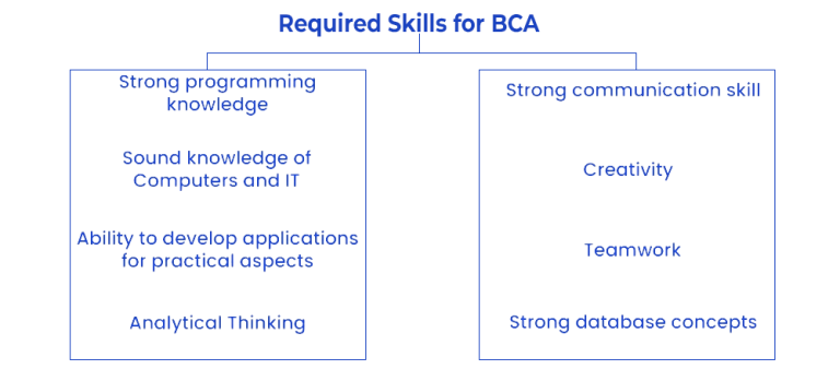 Bca Programme Include Unlock Your Future with an Online BCA Degree in 2025