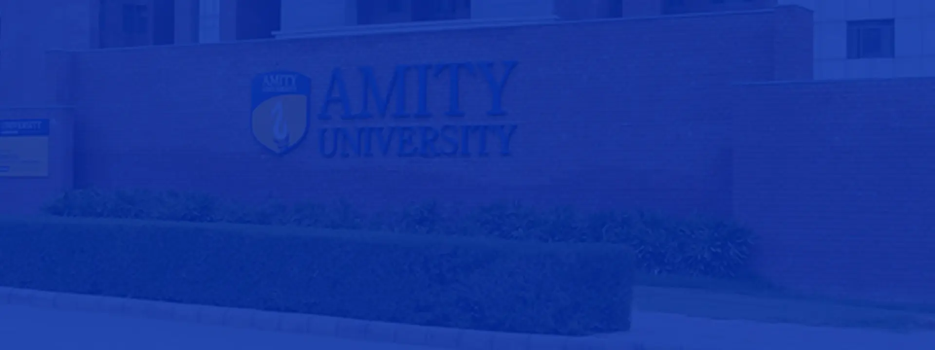 Online MBA Degree Programme