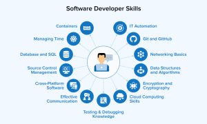 Software Developer