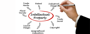 Intellectual Property (IP)