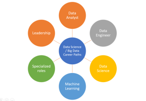 Data Science Career Paths