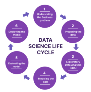 Data Science Lifecycle 