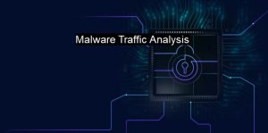 Malware Traffic Analysis