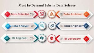 Data Science Career
