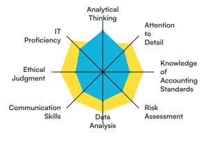 Key Skills of a Auditor