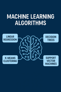 Machine Learning Algorithms