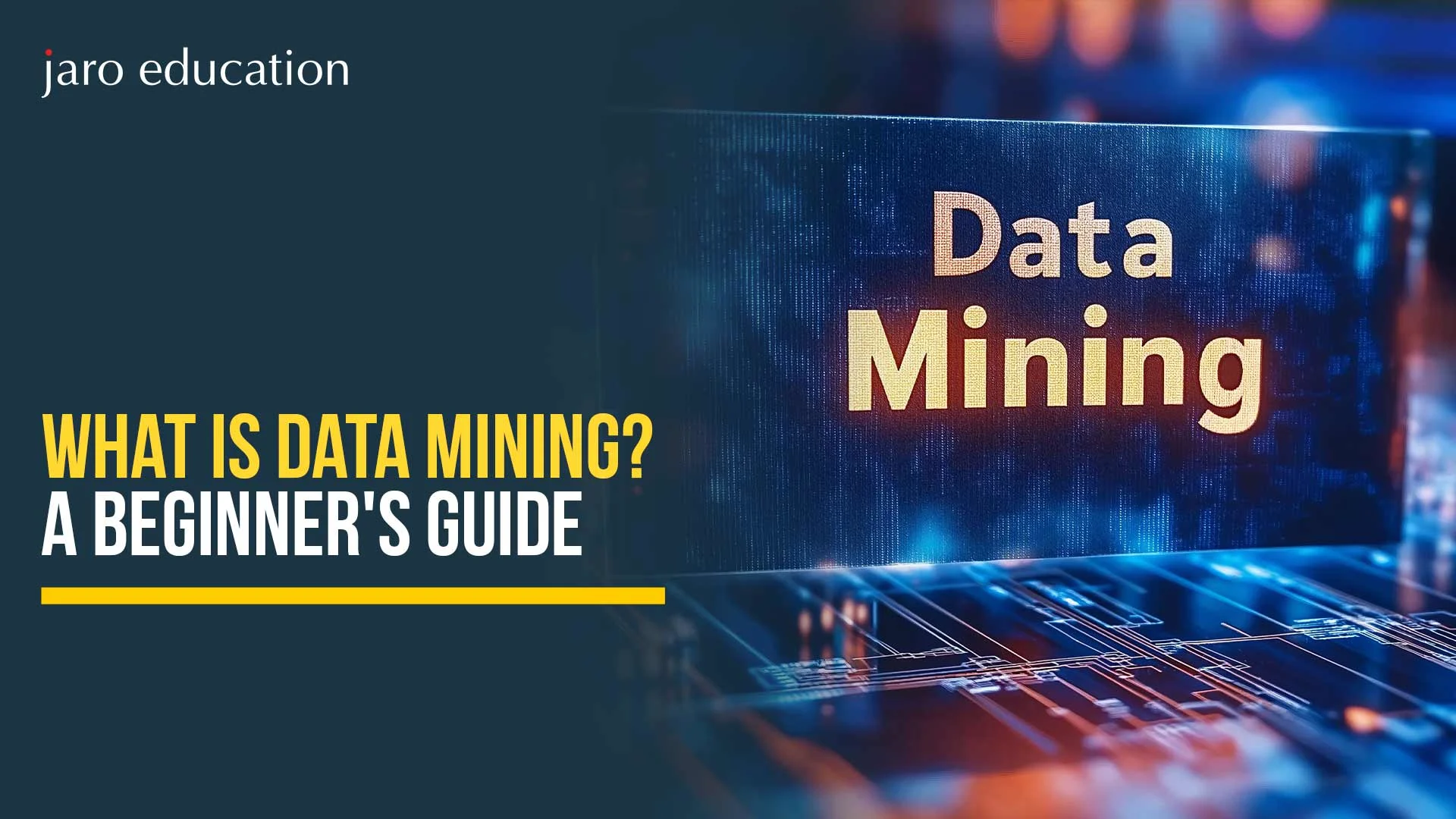 What Is Data Mining? A Beginner’s Guide