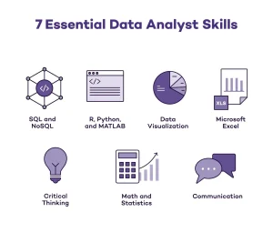 Data Analyst Skills
